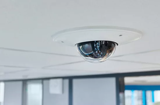 Nexecur Protection Pro