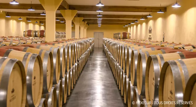 Cave-vin-barriques